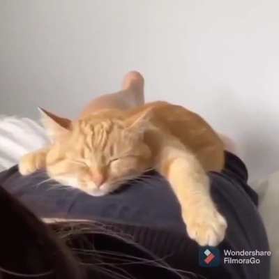 Удобно устроился