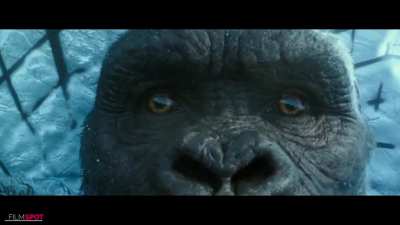 New TV Spot Released for 'Godzilla vs. Kong'