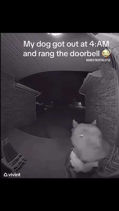 Ding ding