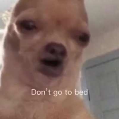 mentira