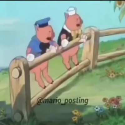 Xd