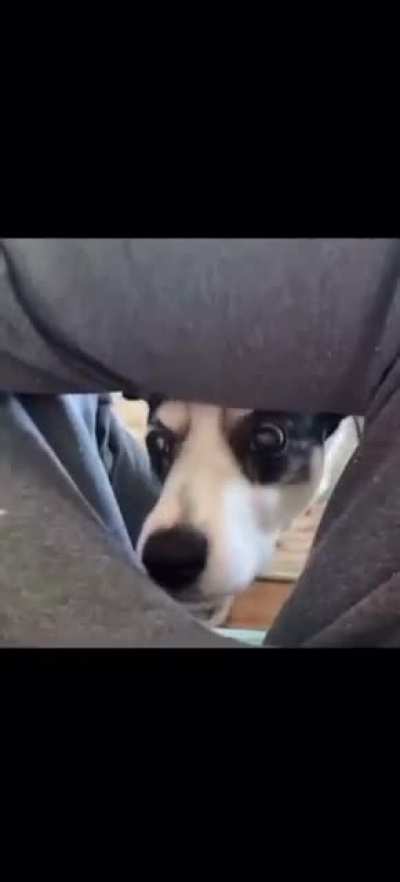 You tease me with the bread, i go for the sausage