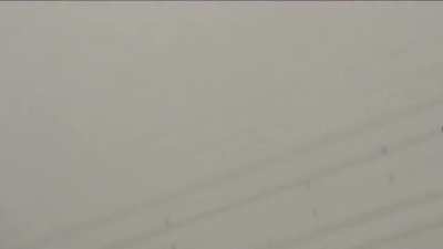 Raining spiders in a city, in Brazil.