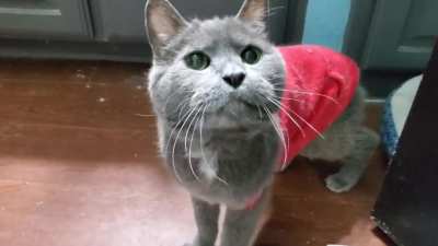21 year old Bertram is completely deaf and has no idea how loud he is.