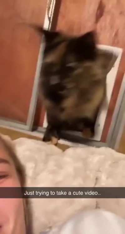 Just trying to take a cute video