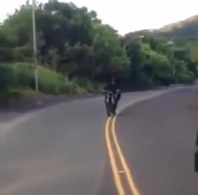 Use your head while on the road