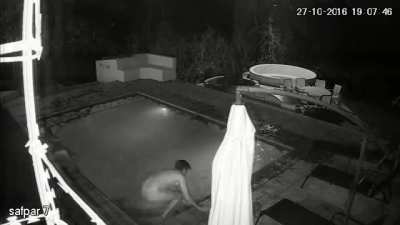Gator goes for late nite snack in swimming pool