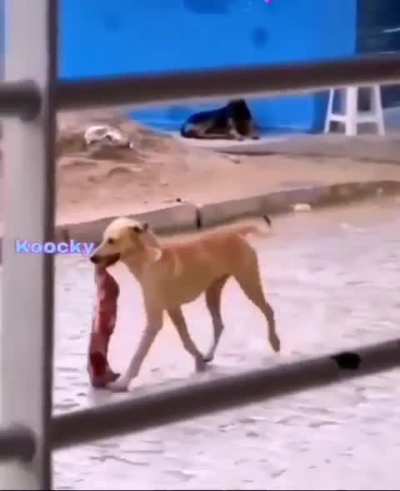 Him got in trouble.