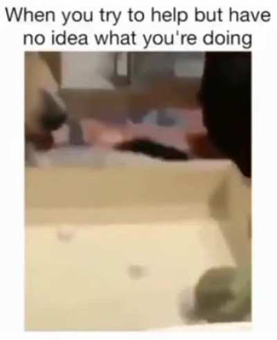 I'm helping
