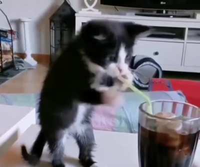 Хочу колы! Но у меня лапки...