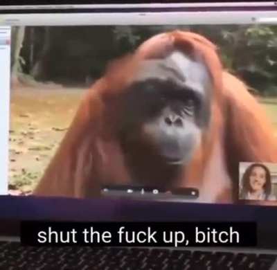 Rule