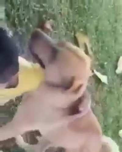 Eu te amo caramelo (Pode ser repost mais se for esse meme e mt bom para n ser visto novamente)