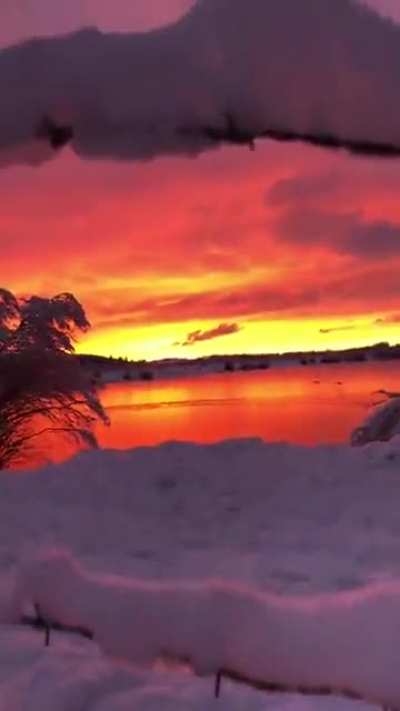 A charming sunset.