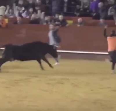 Bull avoidance