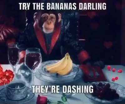 Refined Gentlemonkey 😍