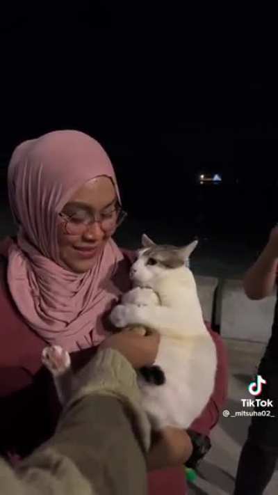 A cat has a doll that she hugs all the time and grieves when it is taken away from her