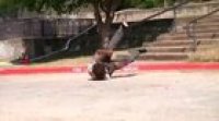 Skater keeps trying until he nails the rail move
