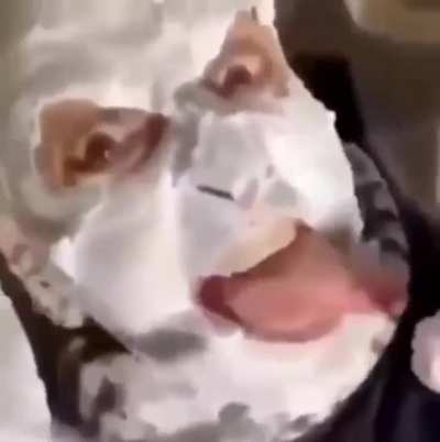 moldy ?????
