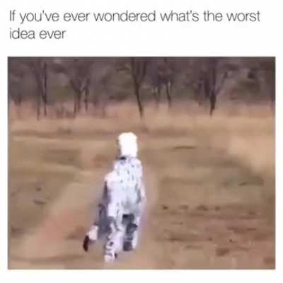 Worst idea in the history of ideas ever