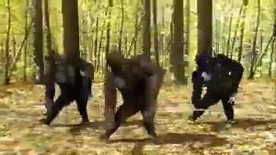 monkey royal