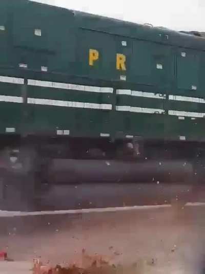 A donkey gets git by a train