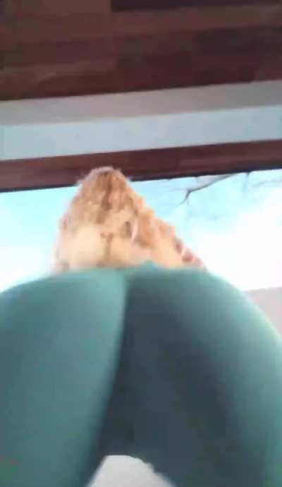 🍑