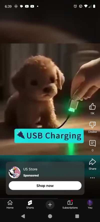 Stupid AI dogs