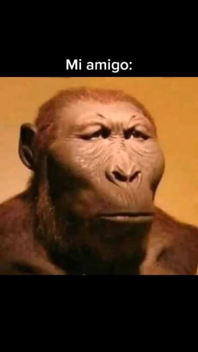 🐒🙊