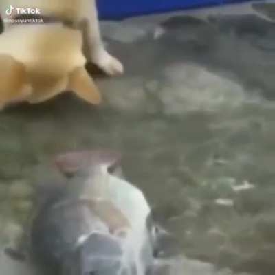 Por esta razón aun tengo fe en la humanidad