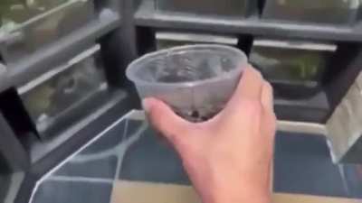 when I saw it for the first time I fell out of my chair. -_-