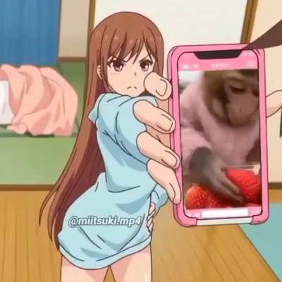 Mi primer aporte