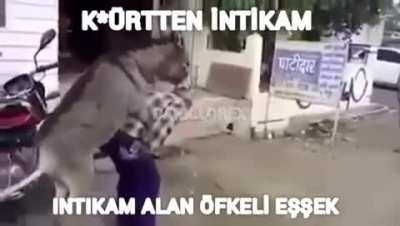 Eşeq intikam