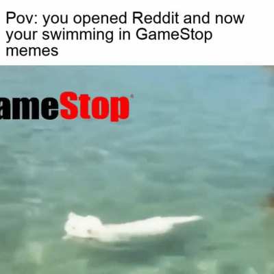 they're everywhere