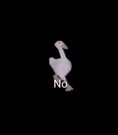 No