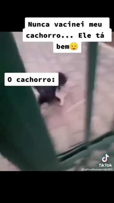 Ele passa bem😄😄