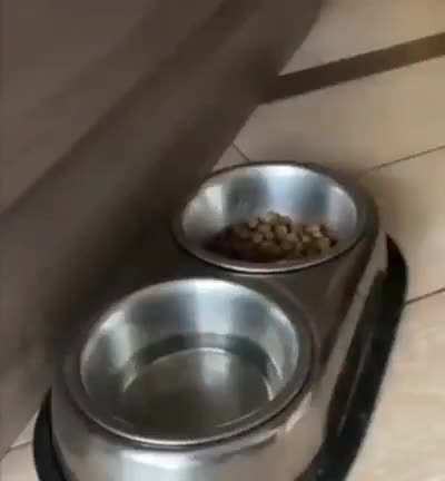 He's trying his best