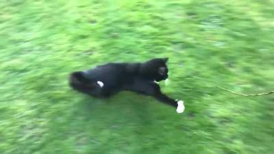 Catculating velocity and trajectory.... Target locked!