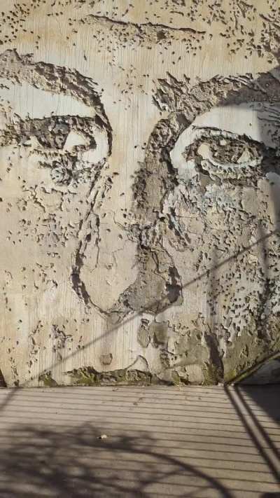 Wall crack or art ?