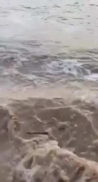 Nothing to see here