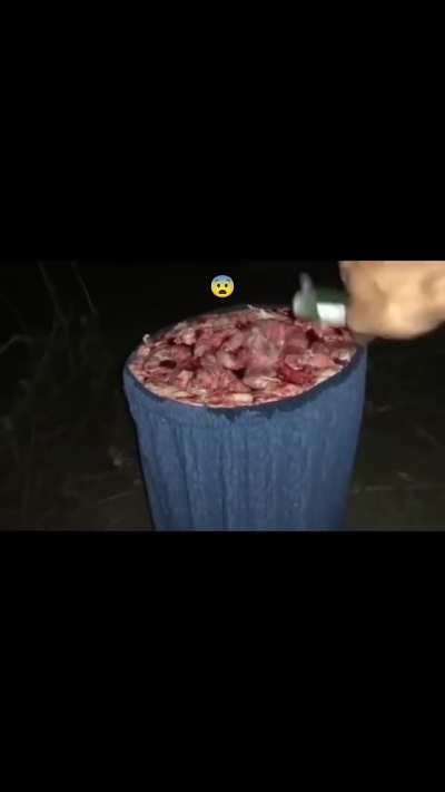 Mananangussy: Smash or Pass?