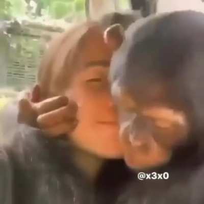 Huba bibi