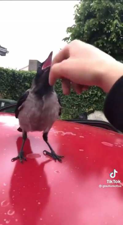 Maybe maybe maybe 