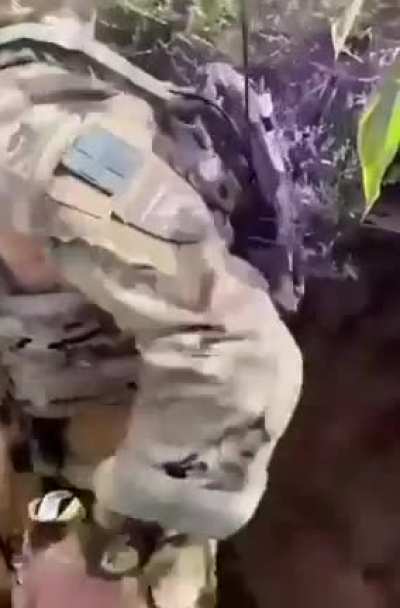 Wake up brother, we must defende the homeland