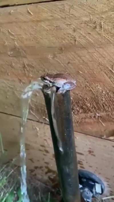cool dude
