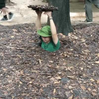 My root people need me