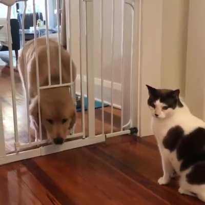 No one can lock me