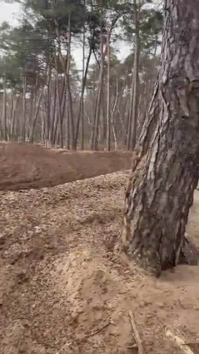 Where did he.. oh wait.