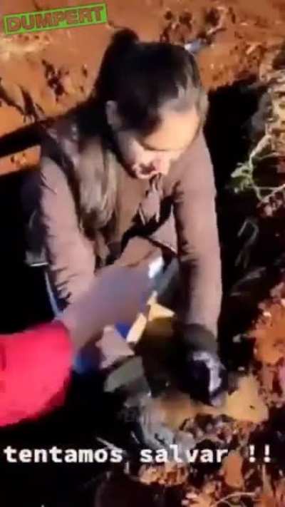 Can we pet it mom?