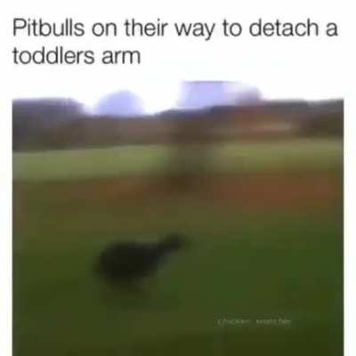 Doggy :D