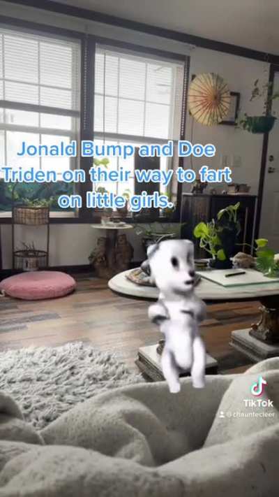We named the AI voice memes of the presidents and then I got really high and made this.